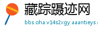 藏踪蹑迹网